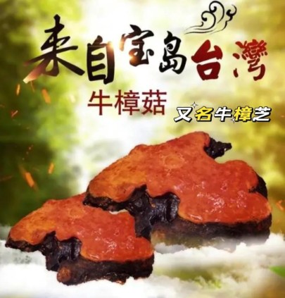 文章插图