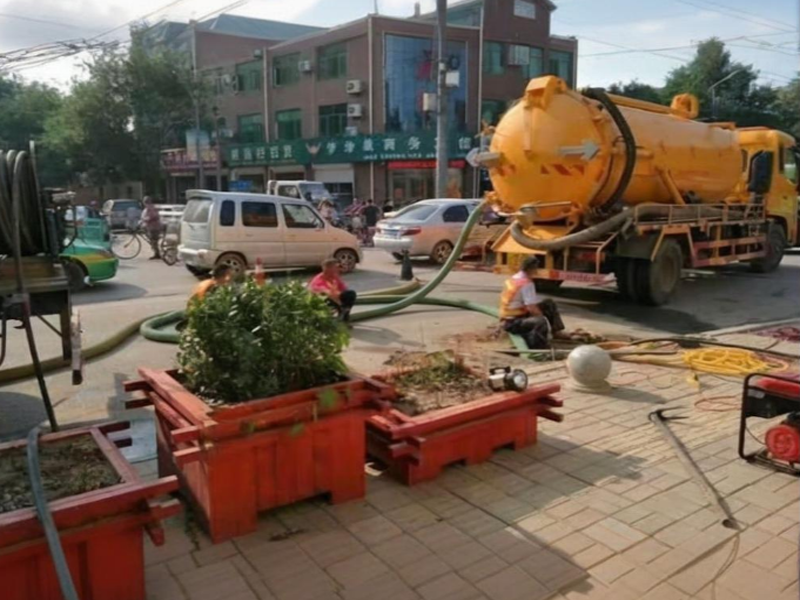 一线观察：树叶垃圾如何引发城市管道堵塞问题